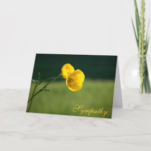 Beileid Buttercup Design   Entschuldigung für Ihre Karte