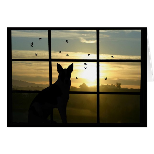 Beileid des Hundes, Verlust der Hundekarte (Vorderseite (Horizontal))