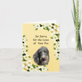 Beileid des Scottish Deerhound und des Hartriegels Karte