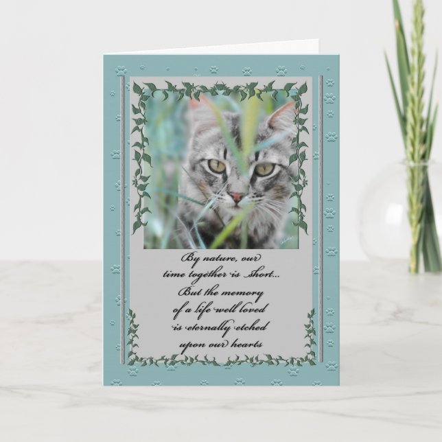 Beileid des Tieres Verlust der Katze Tabby im Gras Karte (Vorderseite)