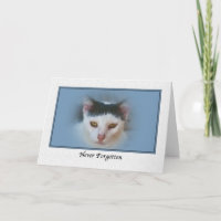 Beileid für den Verlust von Heimtieren mit Katze