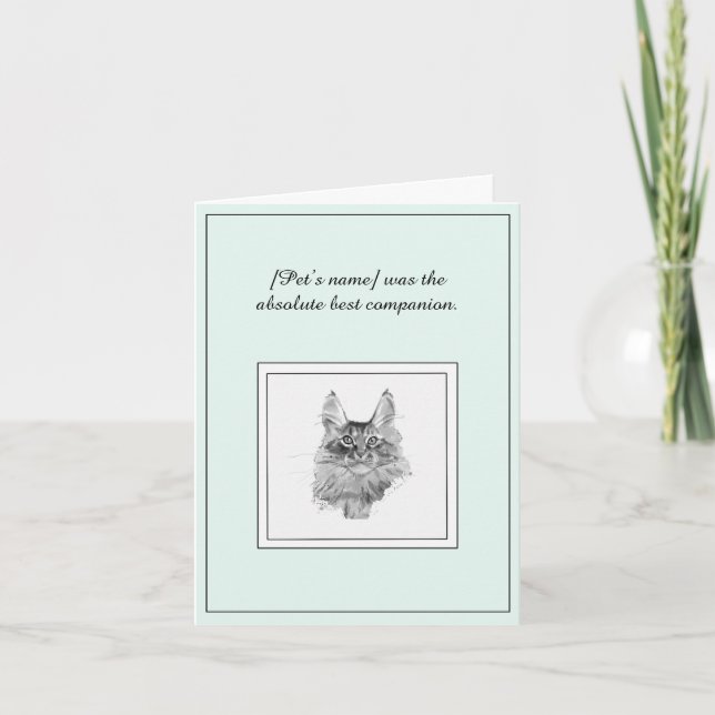Beileid für eine Standard-Coon-Katzenkatze Karte (Vorderseite)