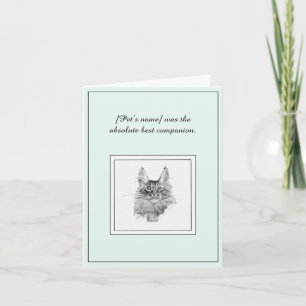 Beileid für eine Standard-Coon-Katzenkatze Karte