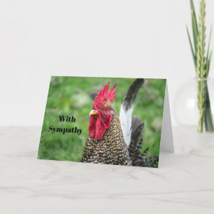 Beileid für Hühnerrooster-Foto Karte