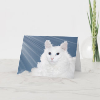 Beileid für Katzen Karte