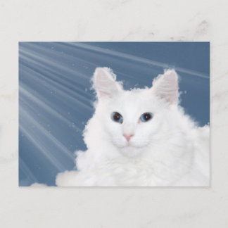 Beileid für Katzen Postkarte