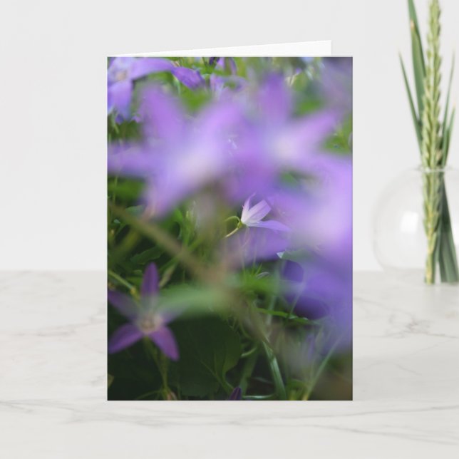 Beileid für Lila Blumenfotografie Karte (Vorderseite)