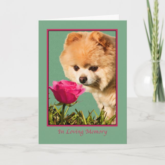 Beileid, Haustier, Spitz-Hund und Rosen-Karte Karte (Vorderseite)