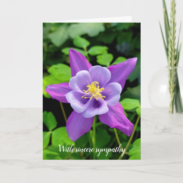 Beileid Lila Columbine Blume Karte (Vorderseite)