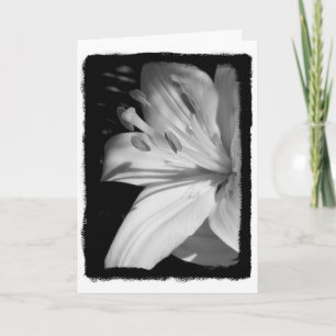Beileid Lily Card Karte