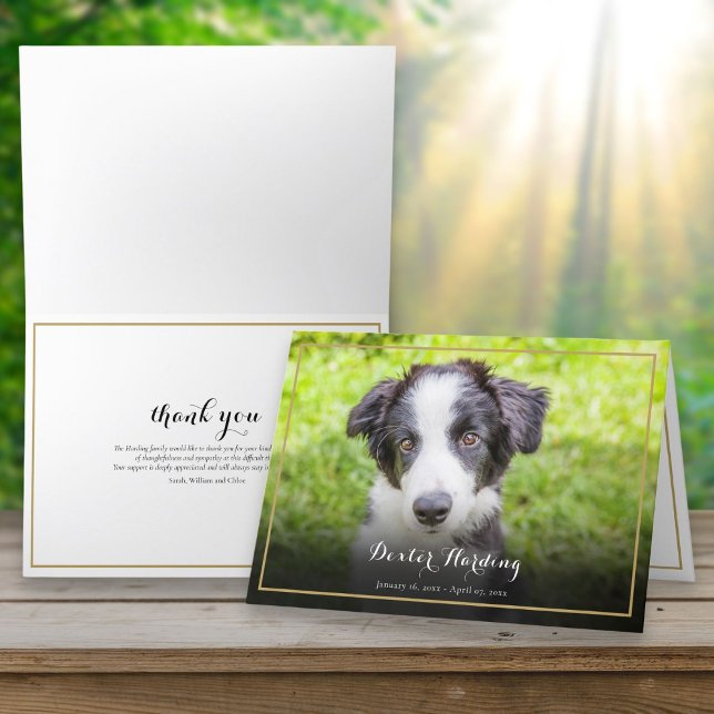 Beileid Loss Foto Elegantes Gold Dankeskarte (Pet Loss Sympathy Photo Elegant Gold Thank You Card)