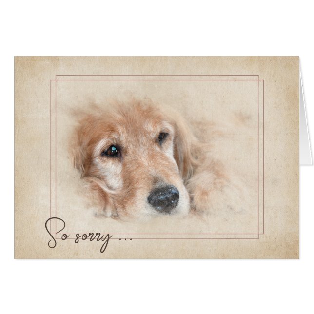 Beileid Loss Golden Retriever (Vorderseite (Horizontal))