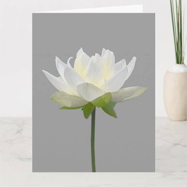 BEILEID LOTUS BLUME EINFACHE NACHRICHTENKARTE DANKESKARTE (Vorderseite)