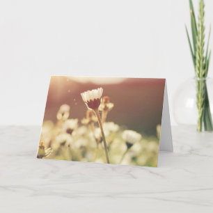 Beileid Mitgefühl Trauerblume in der Sonne Karte