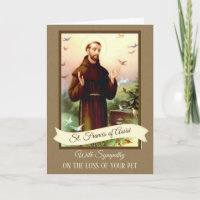 Beileid Pets St Francis von Assisi