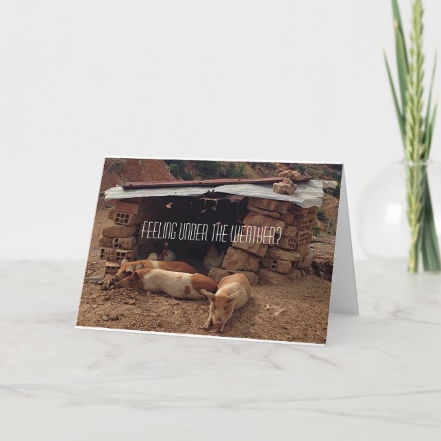 Beileid Pig Grußkarte Karte (Vorderseite)