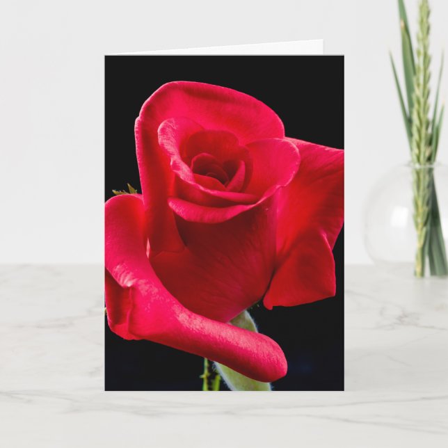 BEILEID ROSE GREETKARTE KARTE (Vorderseite)