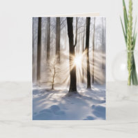Beileid-Sonnenbänke im Winterwald
