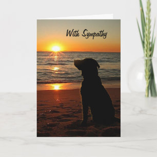 Beileid - Sonnenuntergang und Hund-on-Beach-Karte Karte