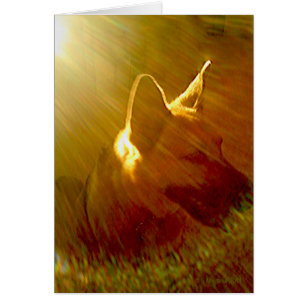 Beileid Sunbeam German Shepherd Dog Poem Card