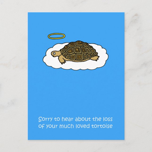 Beileid über Tortoise-Verlust von Haustieren Postkarte (Vorderseite)