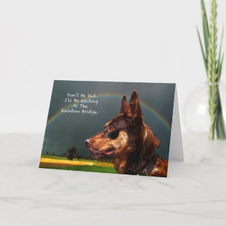 Beileid - Verlust des Heimtierhundes Karte