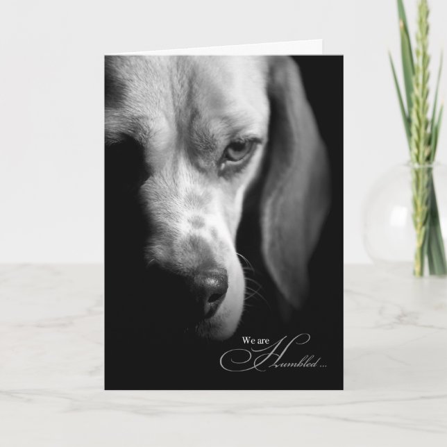 Beileid | Verlust des Hundes | Beagle Black Karte (Vorderseite)