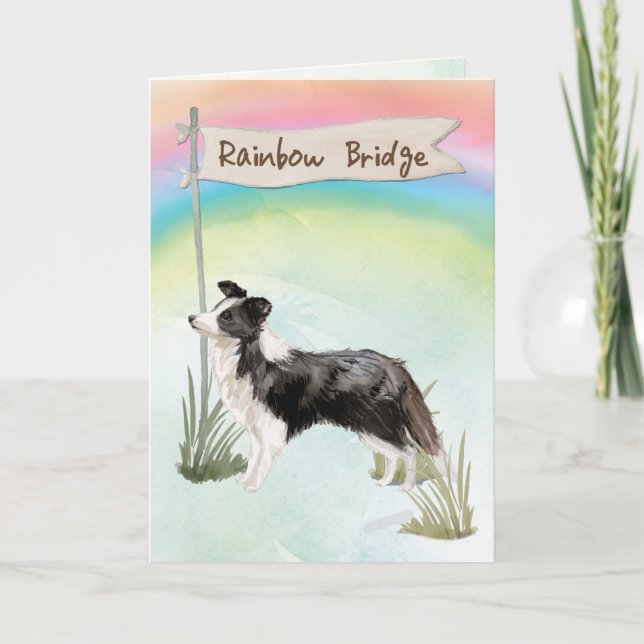 Beileid von Collie über der Regenbogenbrücke Karte (Vorderseite)