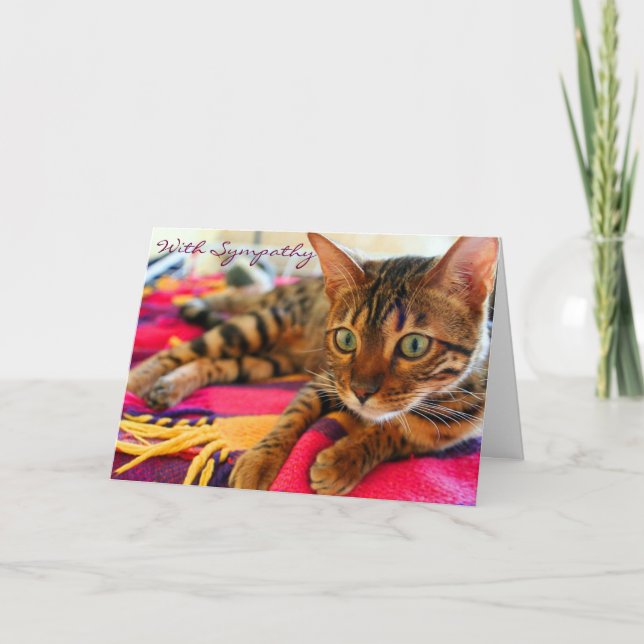 Beileid von With Sympathy Beautiful Bengal Cat Karte (Vorderseite)