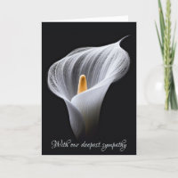 Beileid White Calla Lilie auf schwarz