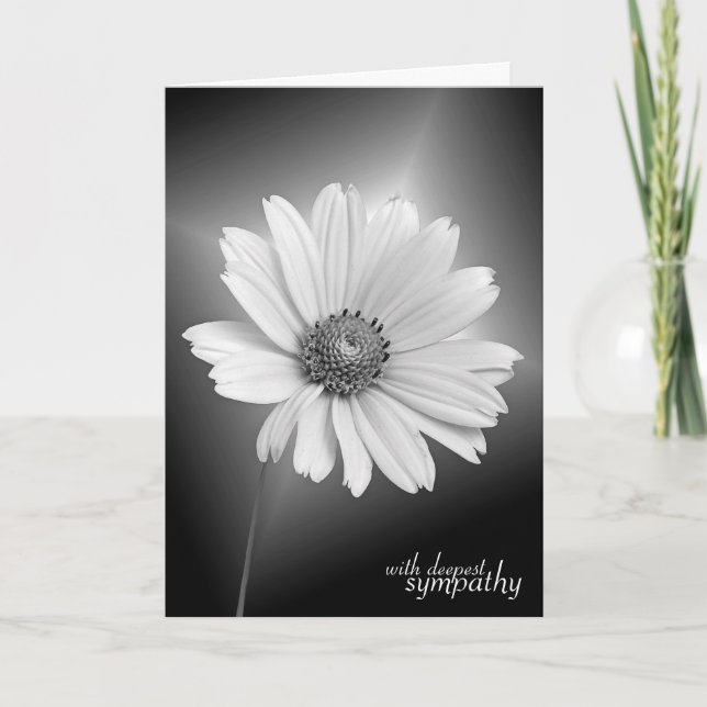 Beileid White Daisy auf Black Karte (Vorderseite)