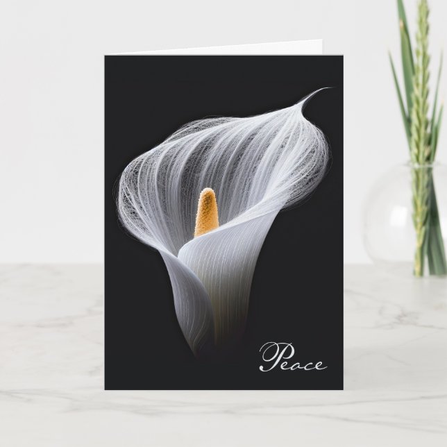 Beileid White Peace Lily on Black Karte (Vorderseite)