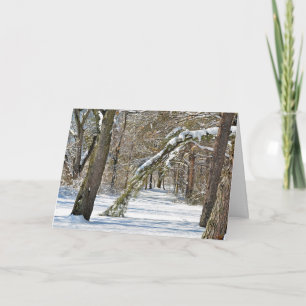 Beileid Winterlandschaft Karte