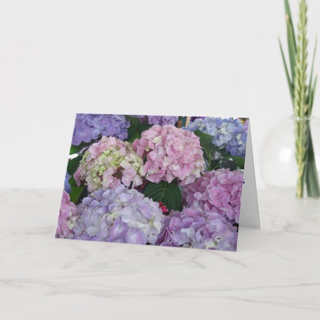 BeileidHydrangeas Karte (Vorderseite)