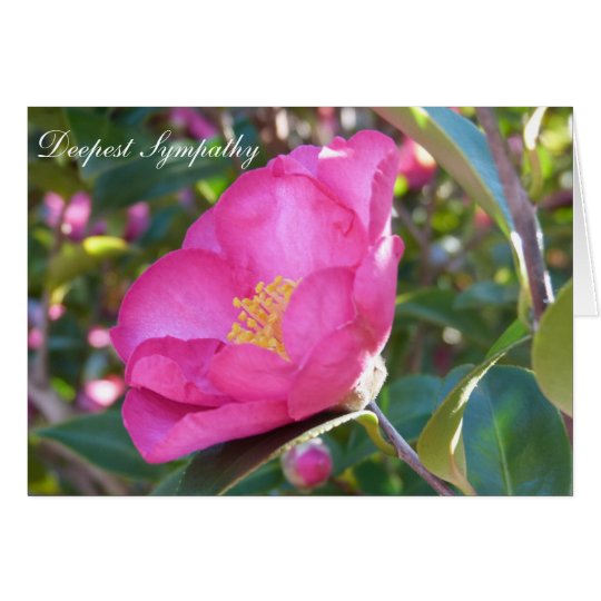 Beileids-Blume Karte