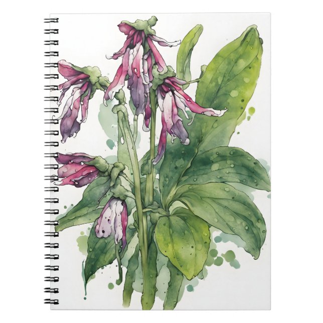 Beinwell - Aquarellblumen Notizblock (Vorderseite)