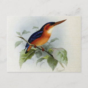 Beispiel für Fischer Postkarte