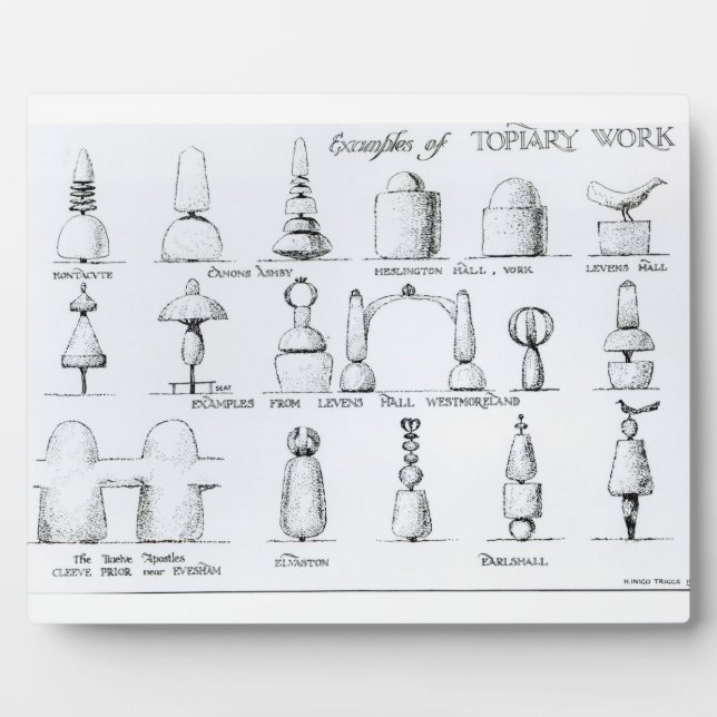 Beispiele für Topiary Work, 1902 (Gravur) (b/w ph Fotoplatte (Vorderseite)