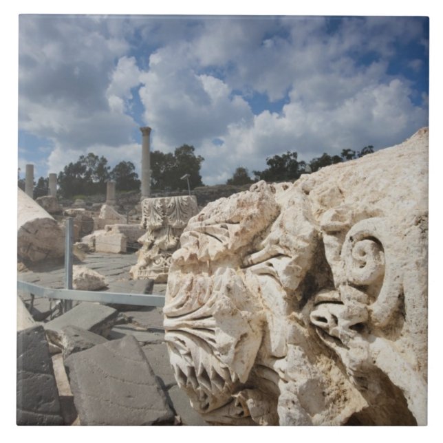 Beit She-an-Nationalpark, Ruinen aus römischer Zei Fliese (Vorderseite)