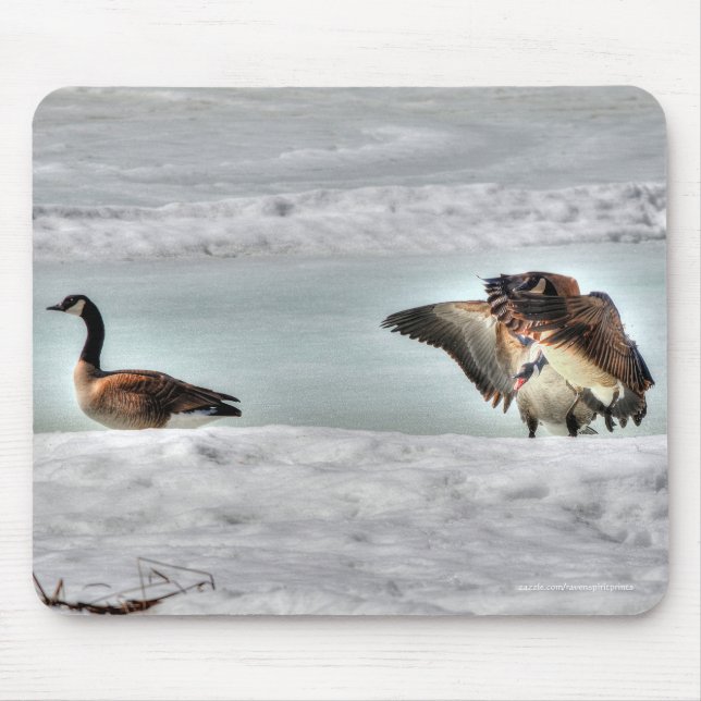 Bekämpfung des Fotos Geese & Snow Mousepad (Vorne)