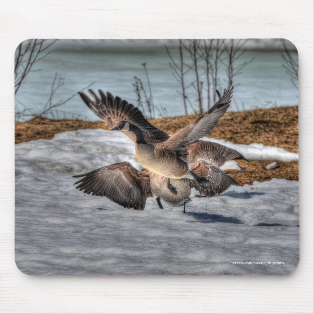 Bekämpfung des Fotos Geese & Snow Mousepad (Vorne)
