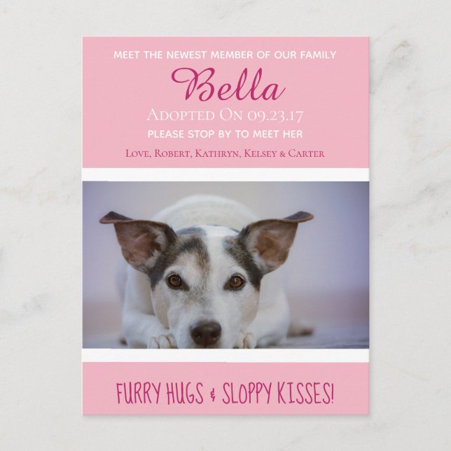 Bekanntgabe des neuen Mitglieds "New Pet" Postkarte (Vorderseite)