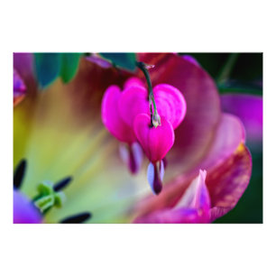 Bekenntnis zur Liebe Fotodruck