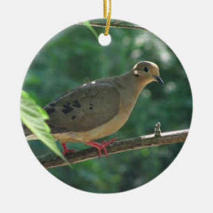 Beklagentaube ~ Verzierung Keramik Ornament