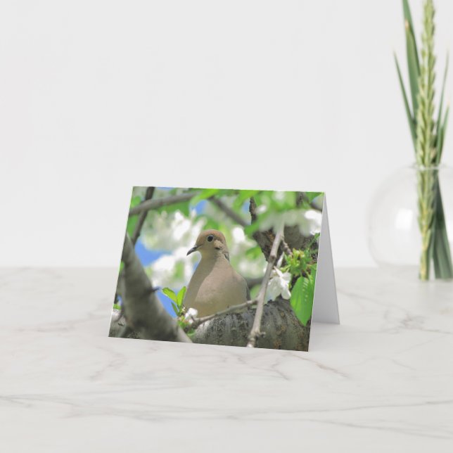 Beklagentauben-Gruß-oder Anmerkungs-Karte #81 Karte (Vorderseite)