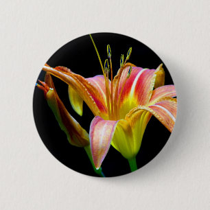 Bekleidung und Geschenke der Tawny Taglilie II Button