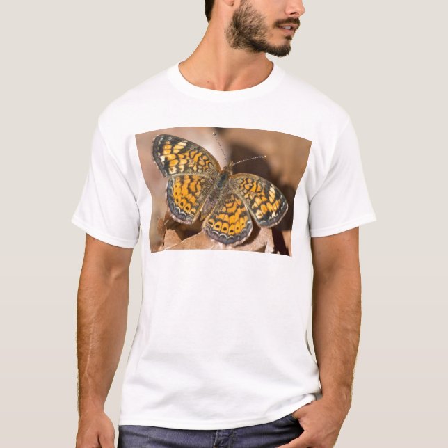 Bekleidung und Geschenke für braune und orangefarb T-Shirt (Vorderseite)