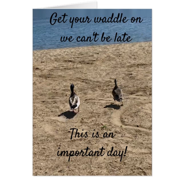 ***BEKOMMEN SIE IHREN WADDLE AUF**** DUCKS SAGEN:  (Vorne)