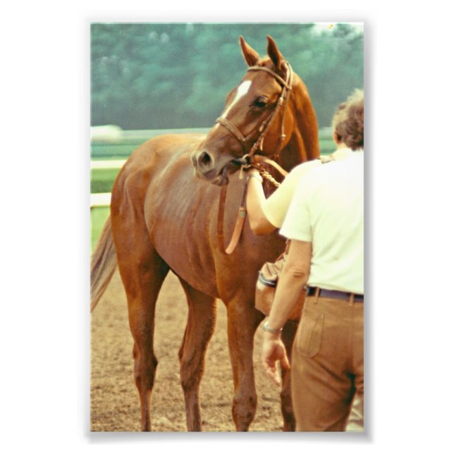Bekräftigt durchdacht Racehorse 1978 Fotodruck (Vorne)