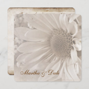 Bekräftigung der Einladung der Vows